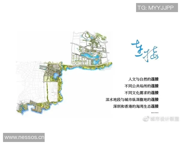 打造理想泳池：从设计规划到施工细节全解析